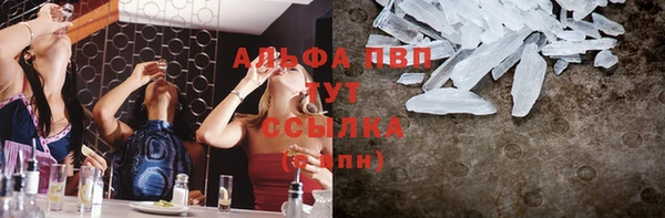 молекула духа Богданович