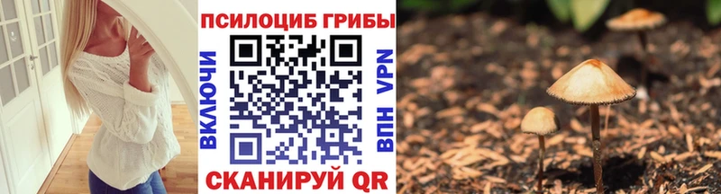 omg как зайти  площадка телеграм  Псилоцибиновые грибы Magic Shrooms  Мураши 